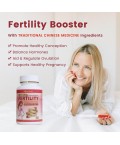 Female Fertility Supplement 60 Tablets